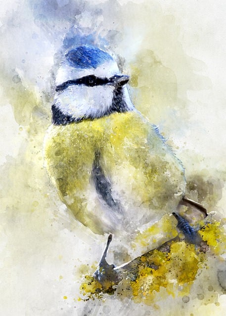 Free blue tit bird forest illustration