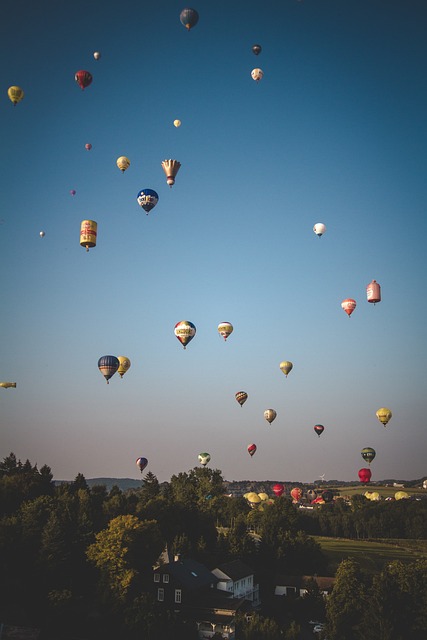 Free Hot Air Balloon Montgolfiade photo and picture