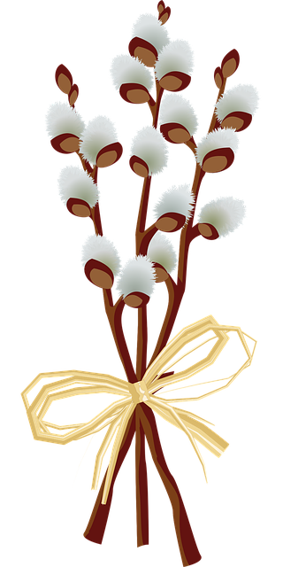 Free easter willow spring vector