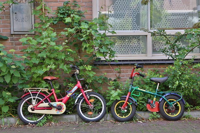 Free Amsterdam Museum photo and picture