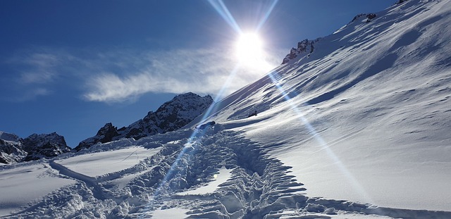 Free Mountains Almaty photo and picture