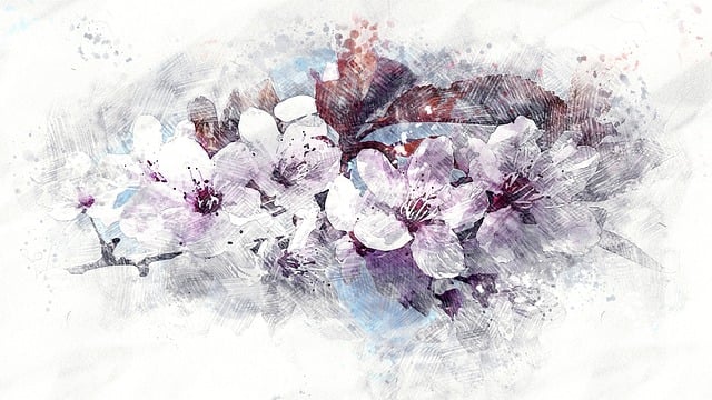 Kirsche, Blüte, Kirschblüte, Himmel