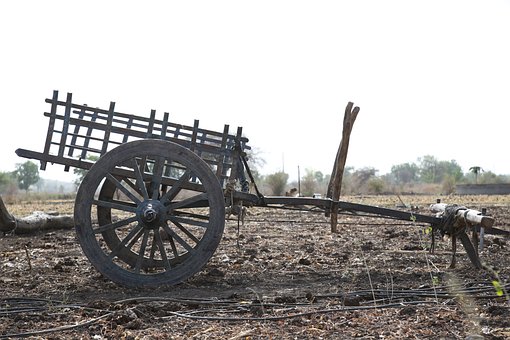 Free The Village Bull Vehicle photo and picture