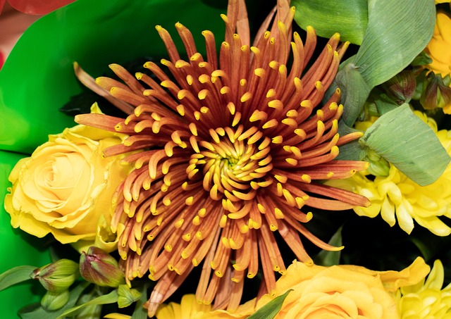 Free Flowers Flower photo and picture