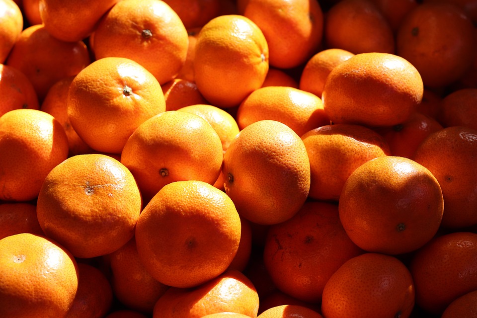 Orange Sun Oranges Free photo on Pixabay