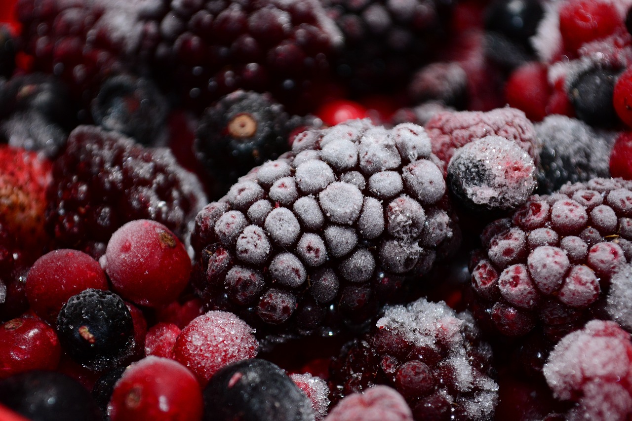 Frozen Berries Blackberry Frost Free Photo On Pixabay Pixabay
