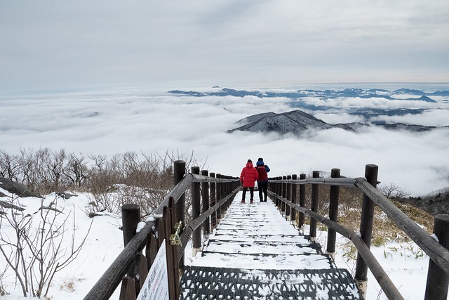 Free Mountain Snow photo and picture