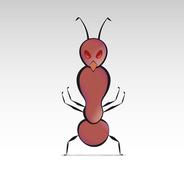 Free ant animal insect illustration