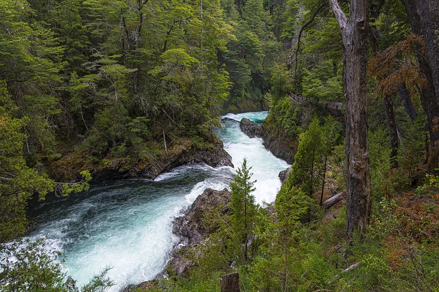 Más de 200 000 fotos de Agua De Rio y Agua gratis - Pixabay