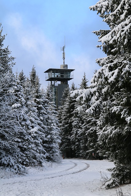 Free Winter Nature photo and picture