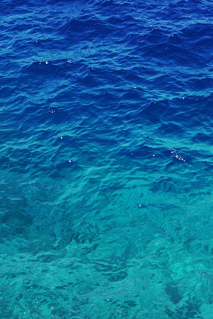 Free Meer Wasser photo and picture