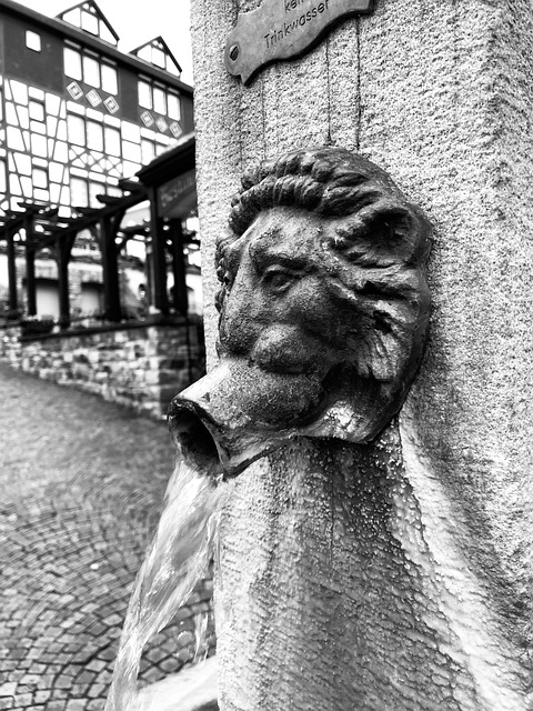 Free Street View Europe photo and picture