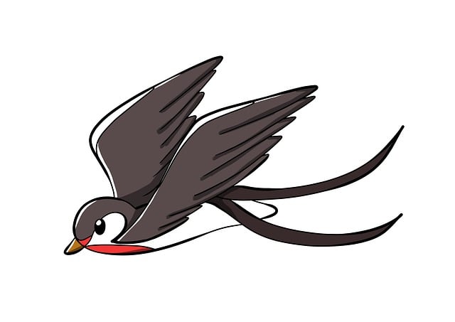 Free swallow spring bird illustration