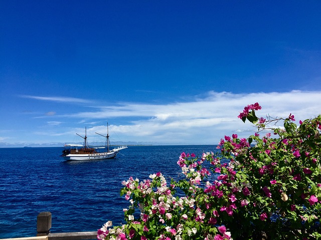 Free Beach Travel photo and picture