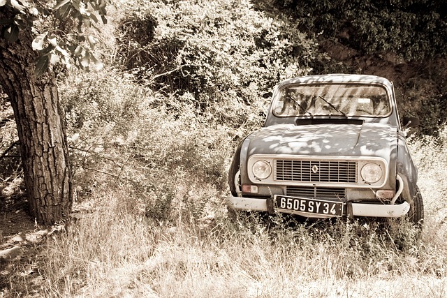 Coche, Ex, Clásico, Automóvil