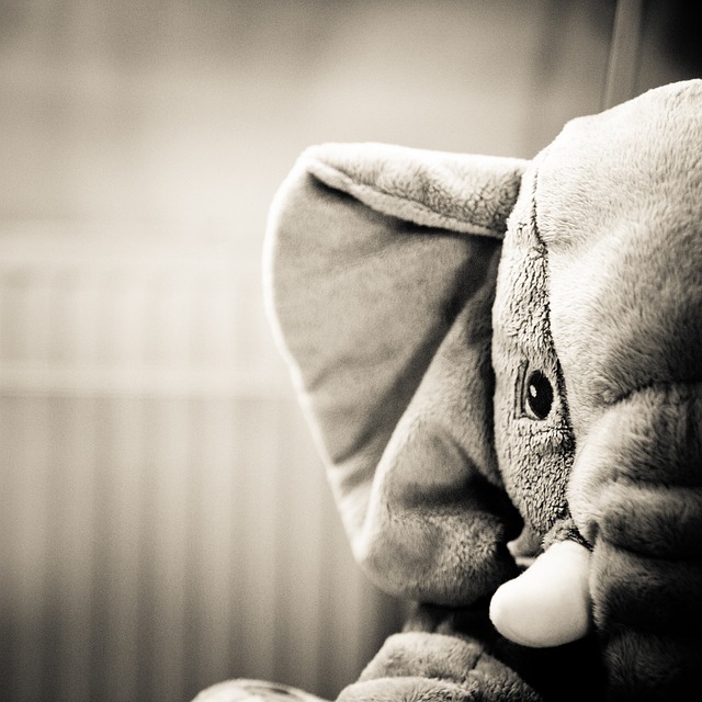Peluche, Elefante, Frazada, Juguetes