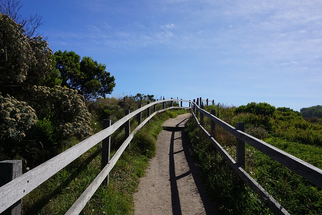 Free Way Out Path photo and picture