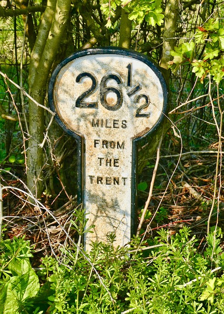 Marker, Unterzeichnen, Zeiger, Plakette