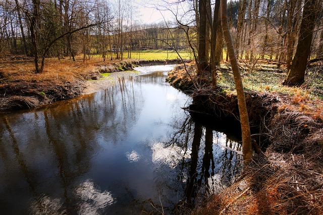 Free Bach Stream photo and picture