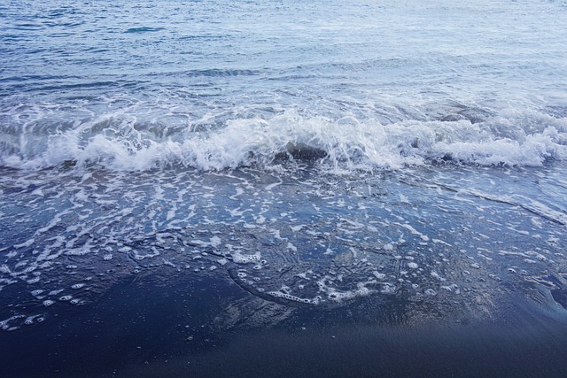Free Beach Sea photo and picture