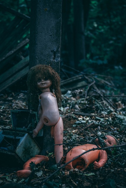Free Chernobyl Pripyat photo and picture