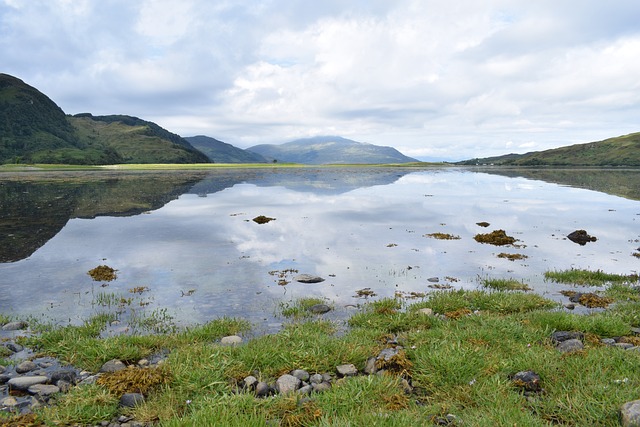 Free Scotland Summer photo and picture