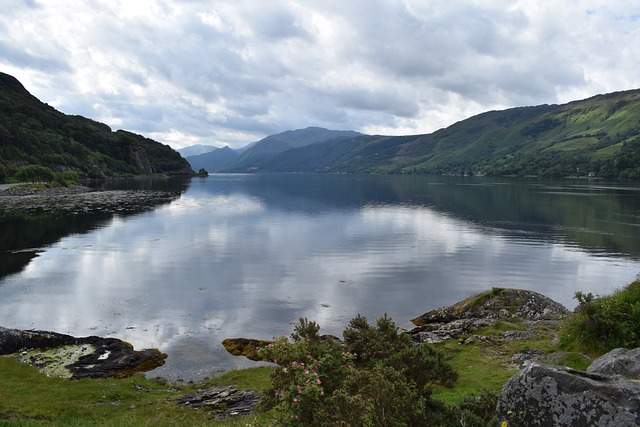 Free Scotland Summer photo and picture