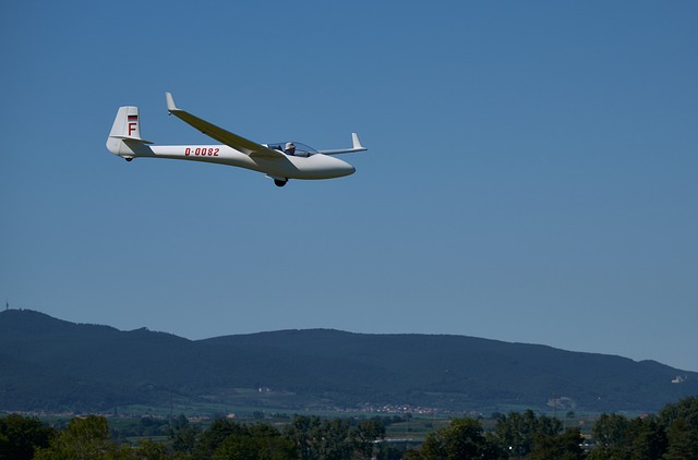 plane, glider, nature, landing