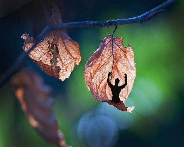 Free yard leaves man woman illustration