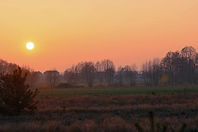 Free Sunset Autumn photo and picture