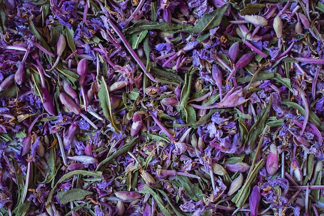 Free Tea Dried Flowers photo and picture