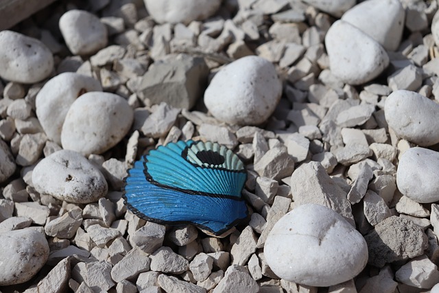 Free Painted Shell Seashell Art photo and picture