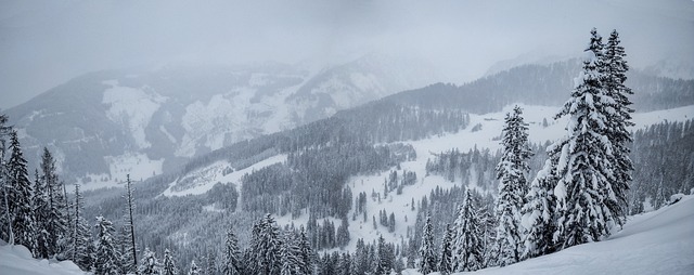 Free Snow Panorama photo and picture