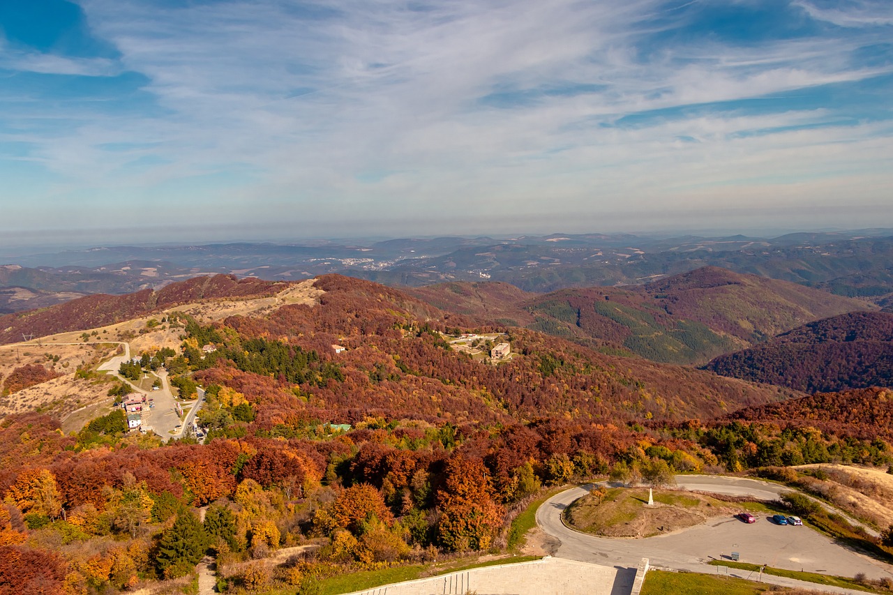 Editorial - free online jigsaw puzzle photo