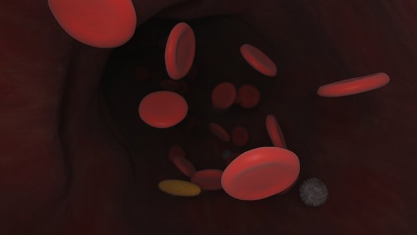 Die Gesundheit, Teilchen, Impuls