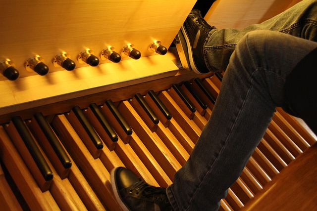 Music Organ Church - Free photo on Pixabay - Pixabay
