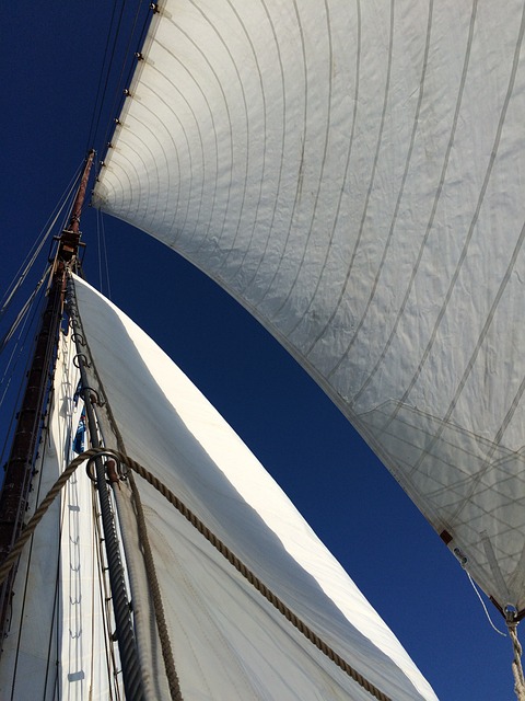 Free Sail Boat photo and picture