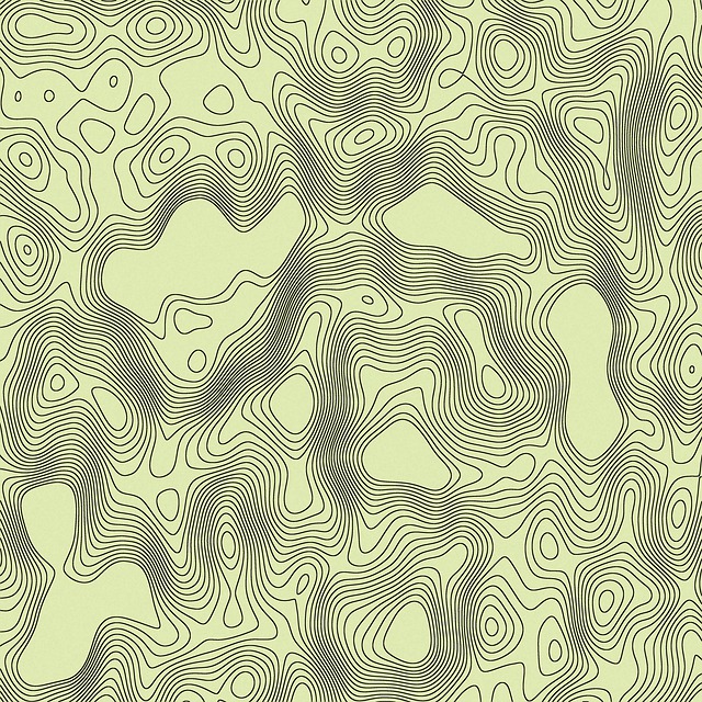 Download Map Contours Borders Royalty-Free Stock Illustration Image ...