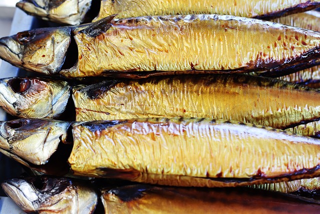 Free Mackerel Fish photo and picture