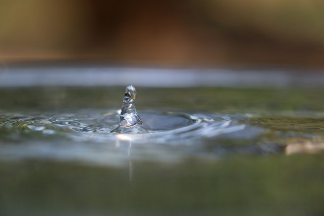 Free Water Drop photo and picture