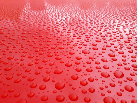 Free Water Drops photo and picture