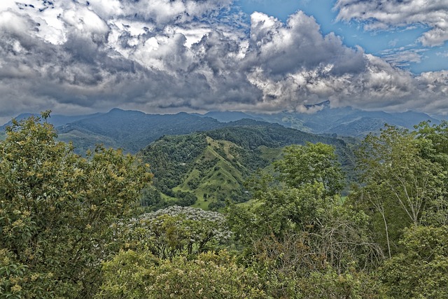Free Colombia Mirador De Salento photo and picture