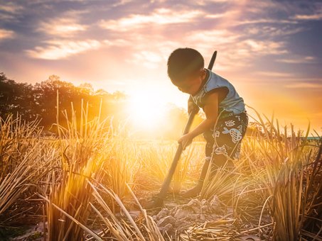 Free Child Field photo and picture