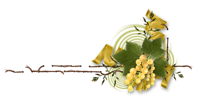 Free greens leaves currant illustration