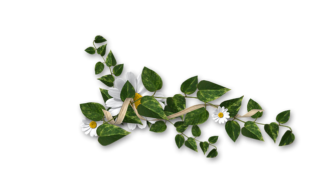 Free greens leaves flowers illustration