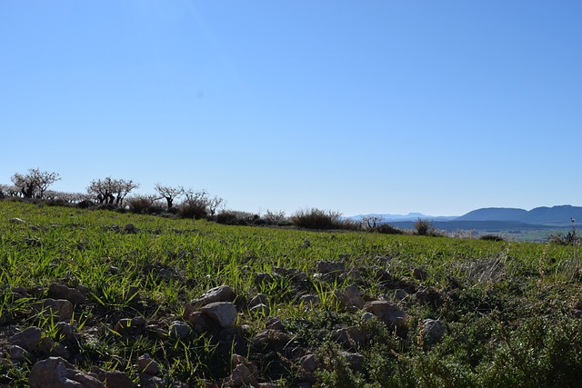 Free Landscape Field photo and picture