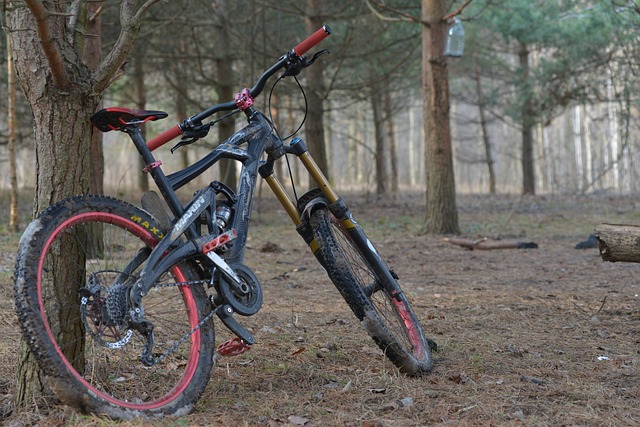 Free Marin Bicycle photo and picture