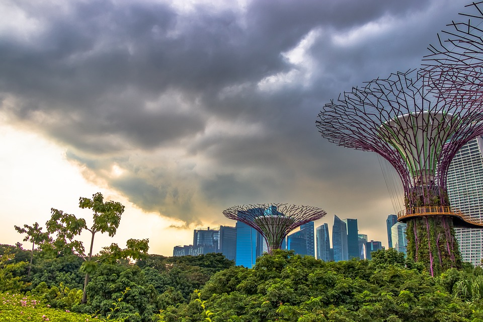 singapore-4911070_960_720.jpg