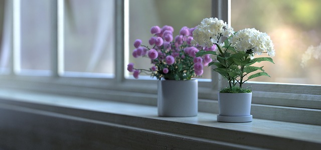 Små Planter, Smukke Blomster, Skov