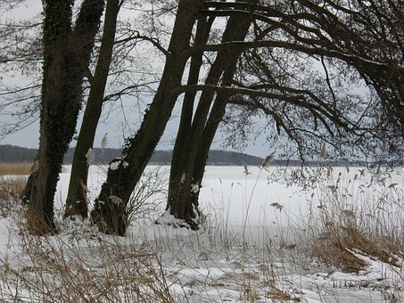 Free Winter Denmark photo and picture